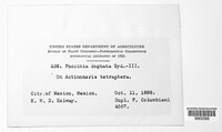 Image Associated With the Occurence